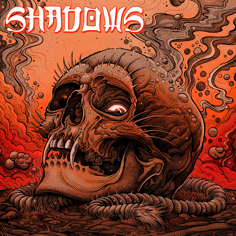 SHADOWS release 1st full album 'illuminate' and new music video