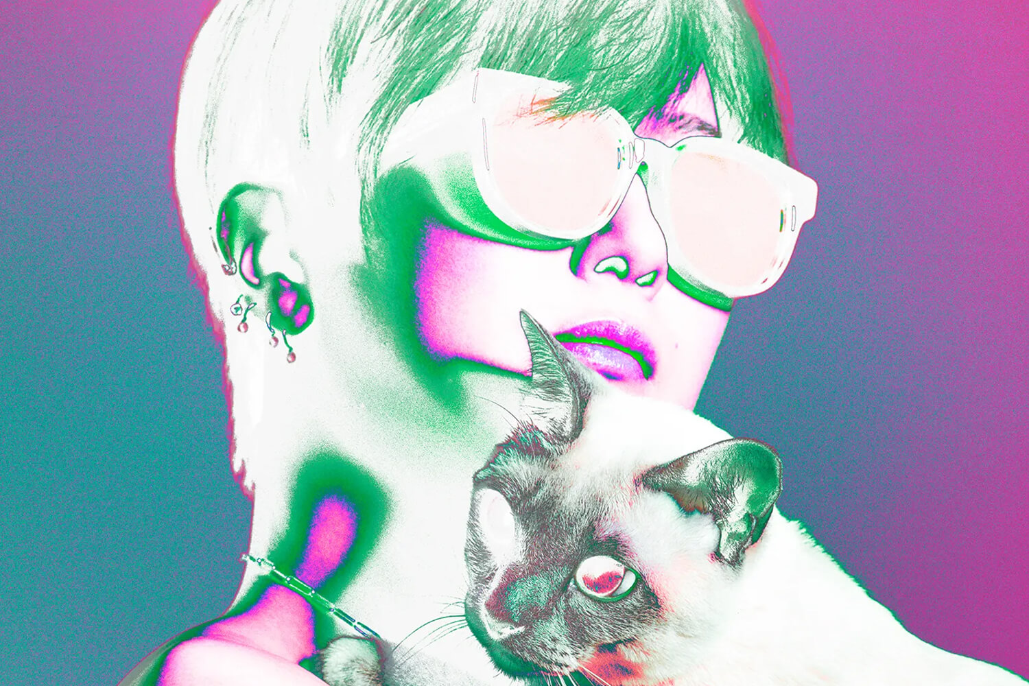 Amazon.co.jp: 椎名林檎 - sheena ringo book 10周年記念商品